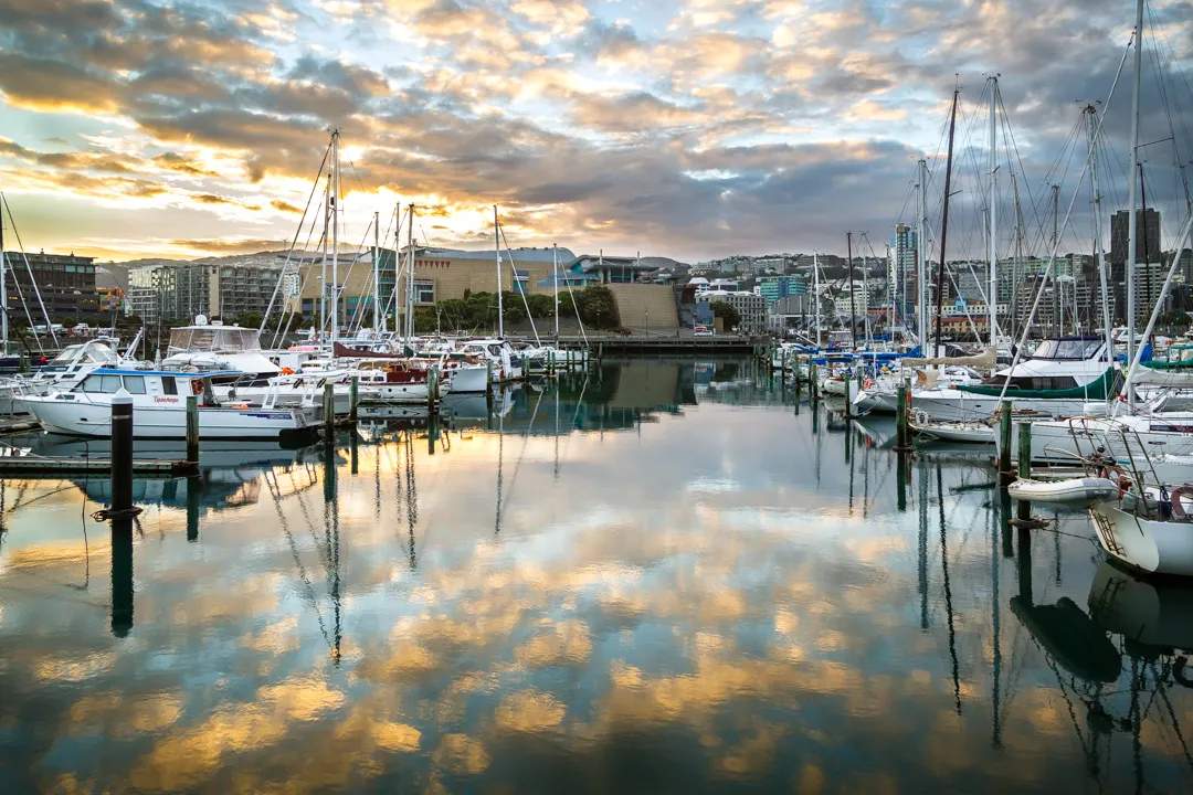 Wellington Marina Berths — photo 2