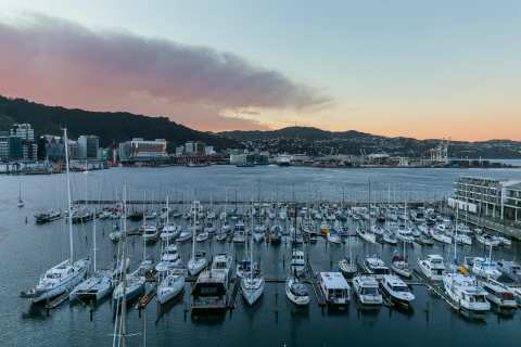 Wellington Marina Berths — photo 3