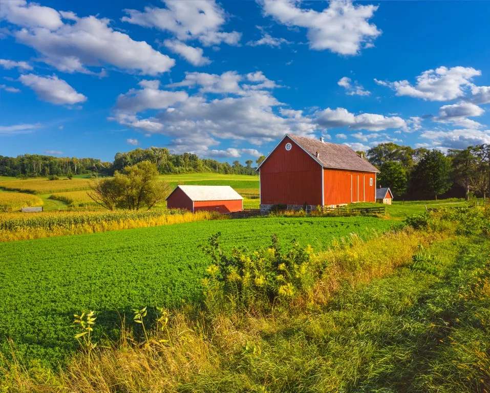 Country Travel Discoveries
