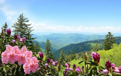 Country Travel Discoveries — photo 2