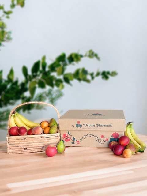 Urban Harvest Limited — photo 2