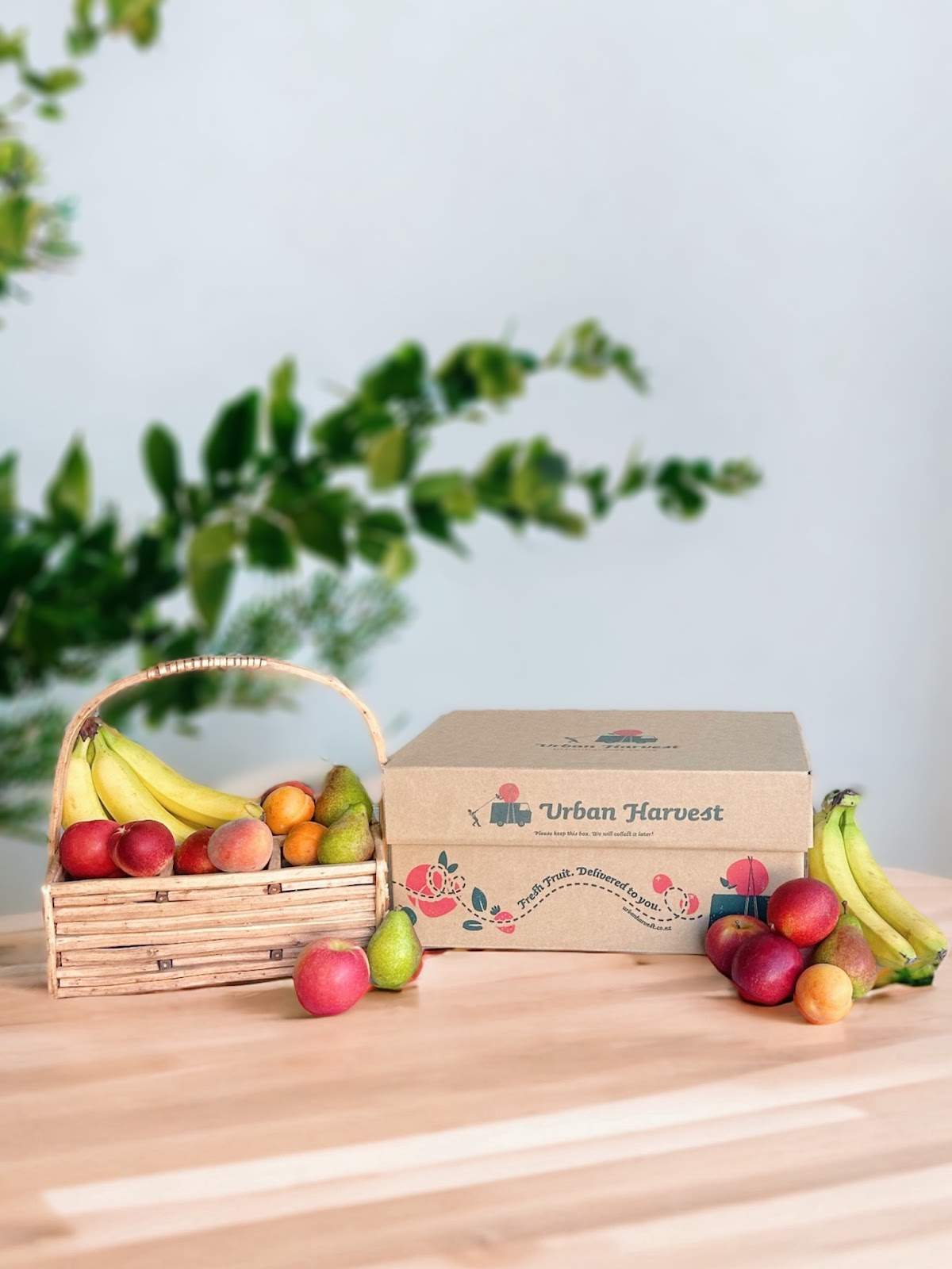 Urban Harvest Limited — photo 2