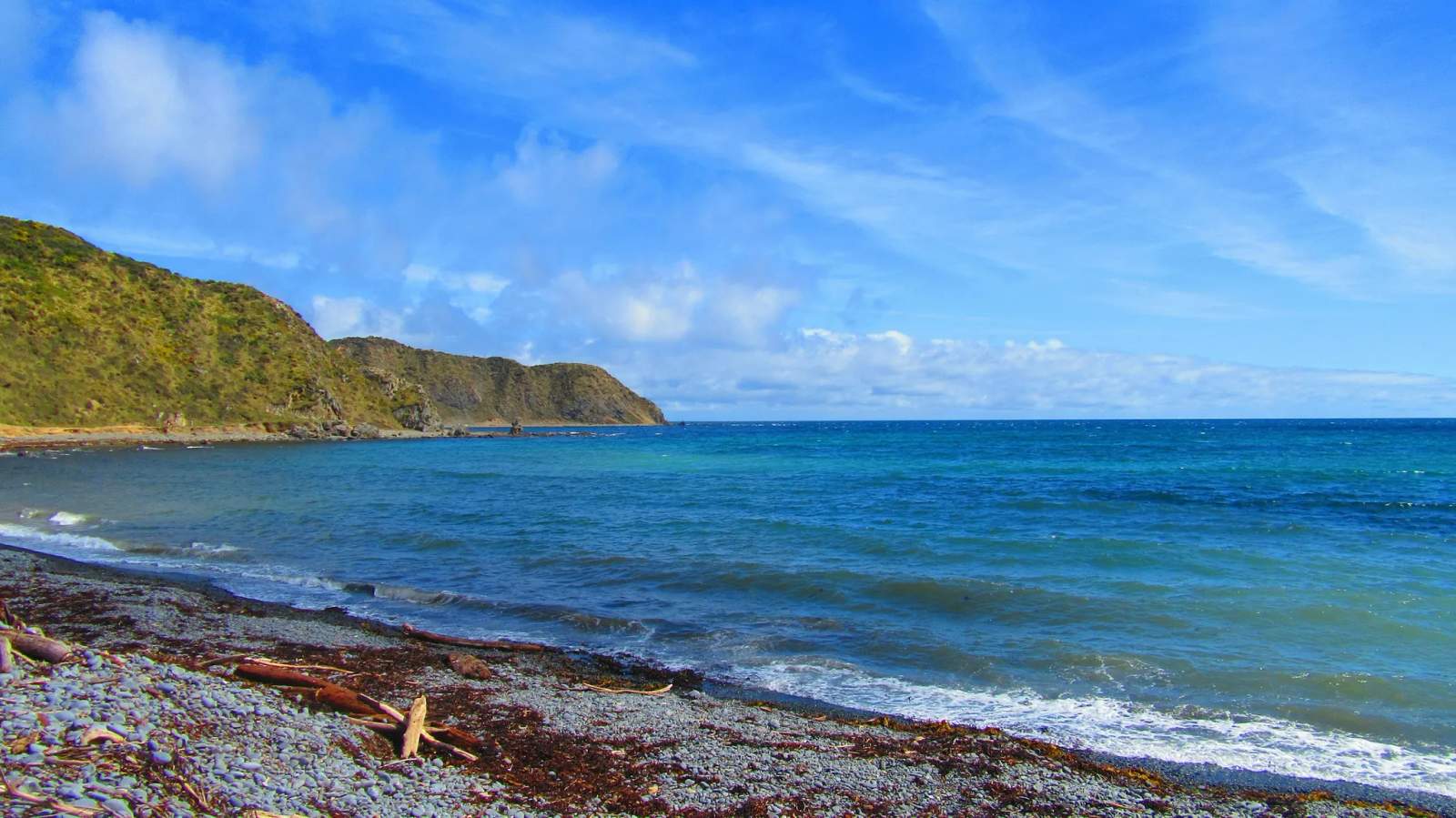 Mākara Beach — photo 2