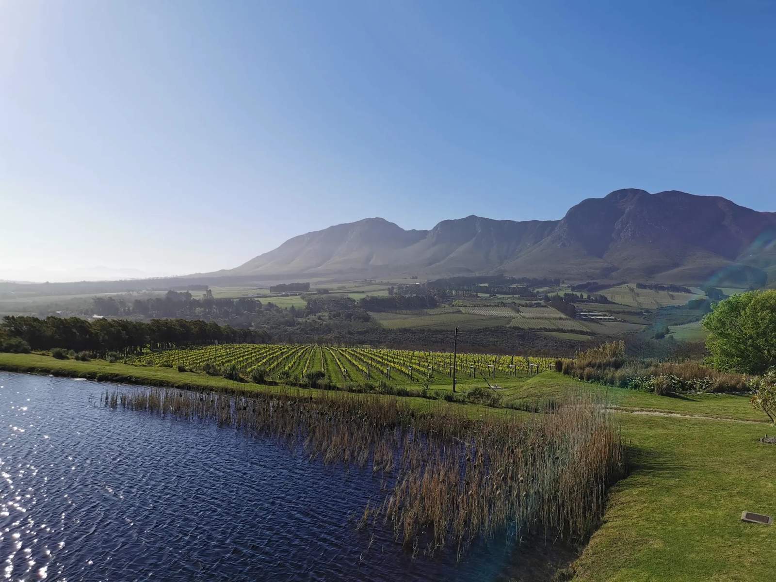 Sumaridge Estate Wines — photo 2