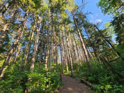 Retzer Nature Center — photo 4