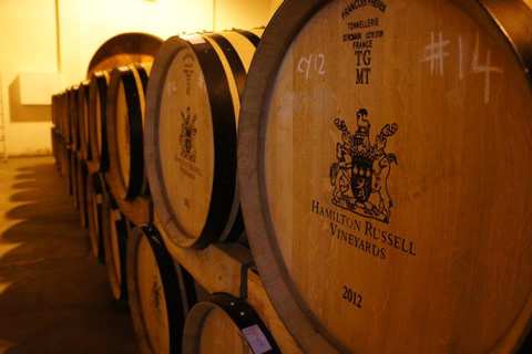Hamilton Russell Vineyards — photo 3