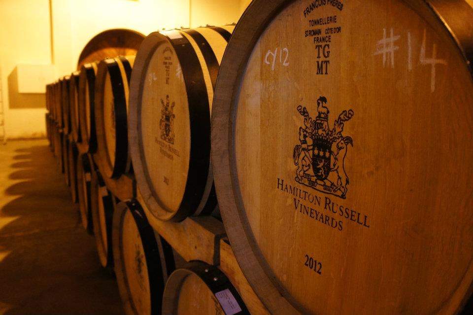 Hamilton Russell Vineyards — photo 3