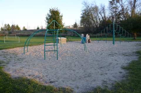 Here We Grow — photo 4