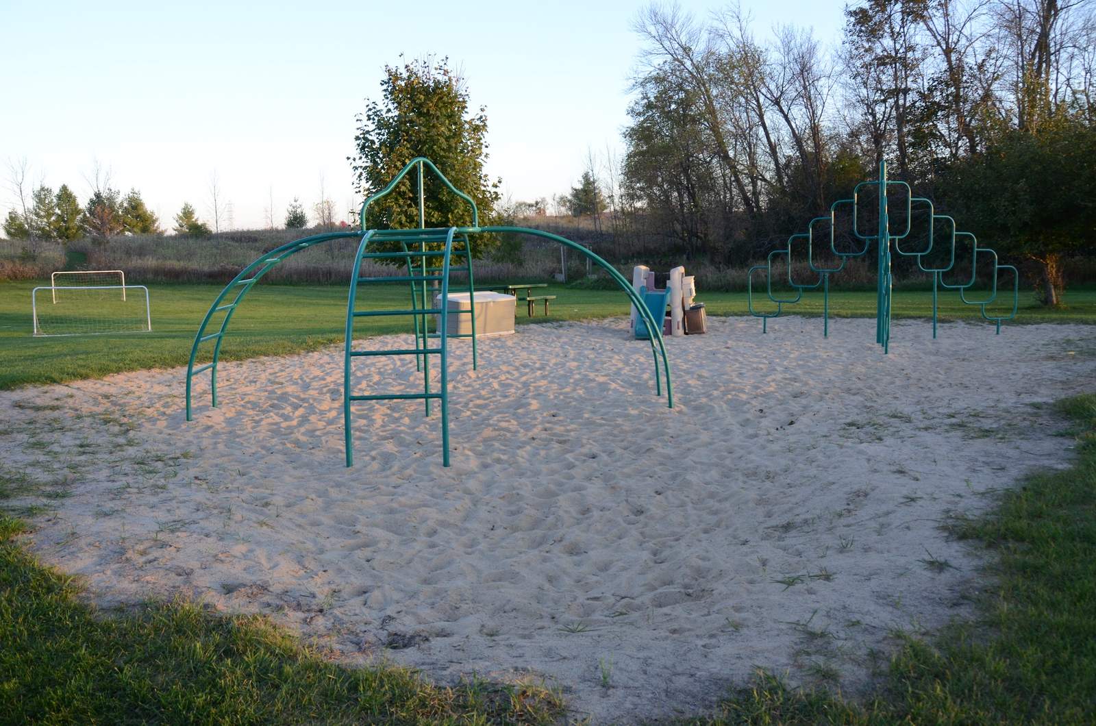 Here We Grow — photo 4