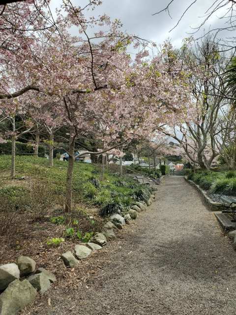 Katherine Mansfield Memorial Park — photo 3