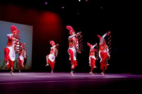 Bhangra Classes ( Bhangra Rhymes) — photo 3