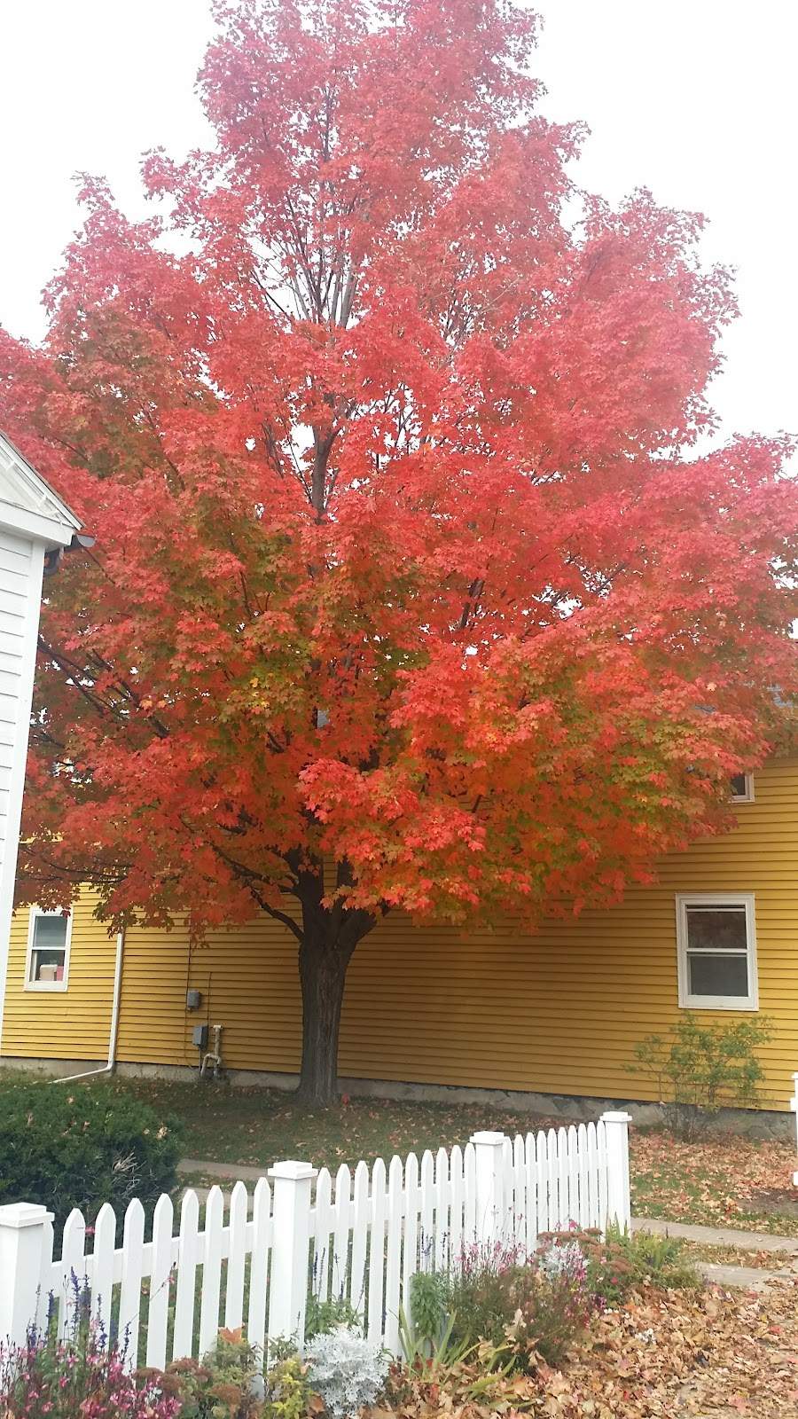 1849 Kuhefuss House Museum — photo 7