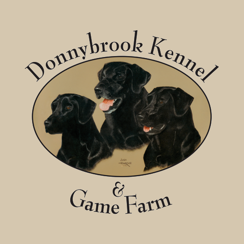 Donnybrook Kennel And Inn — photo 2