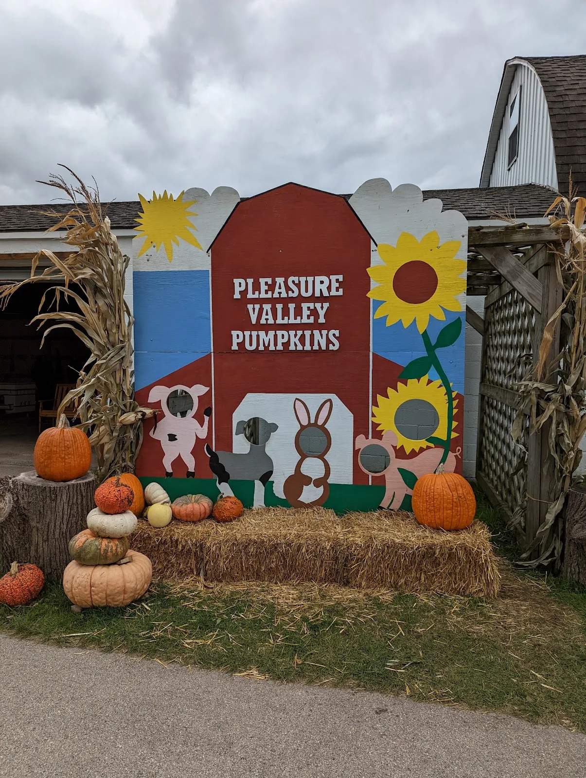Pleasure Valley Pumpkins — photo 1