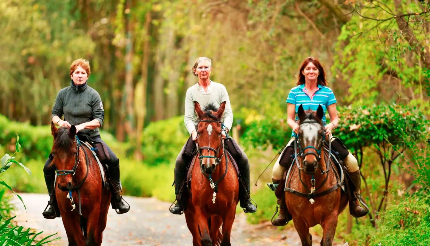 Cape Winelands Riding — photo 1