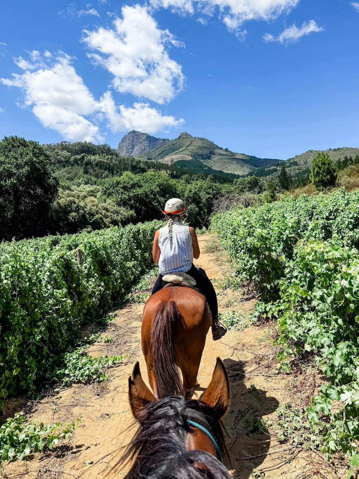 Cape Winelands Riding — photo 2