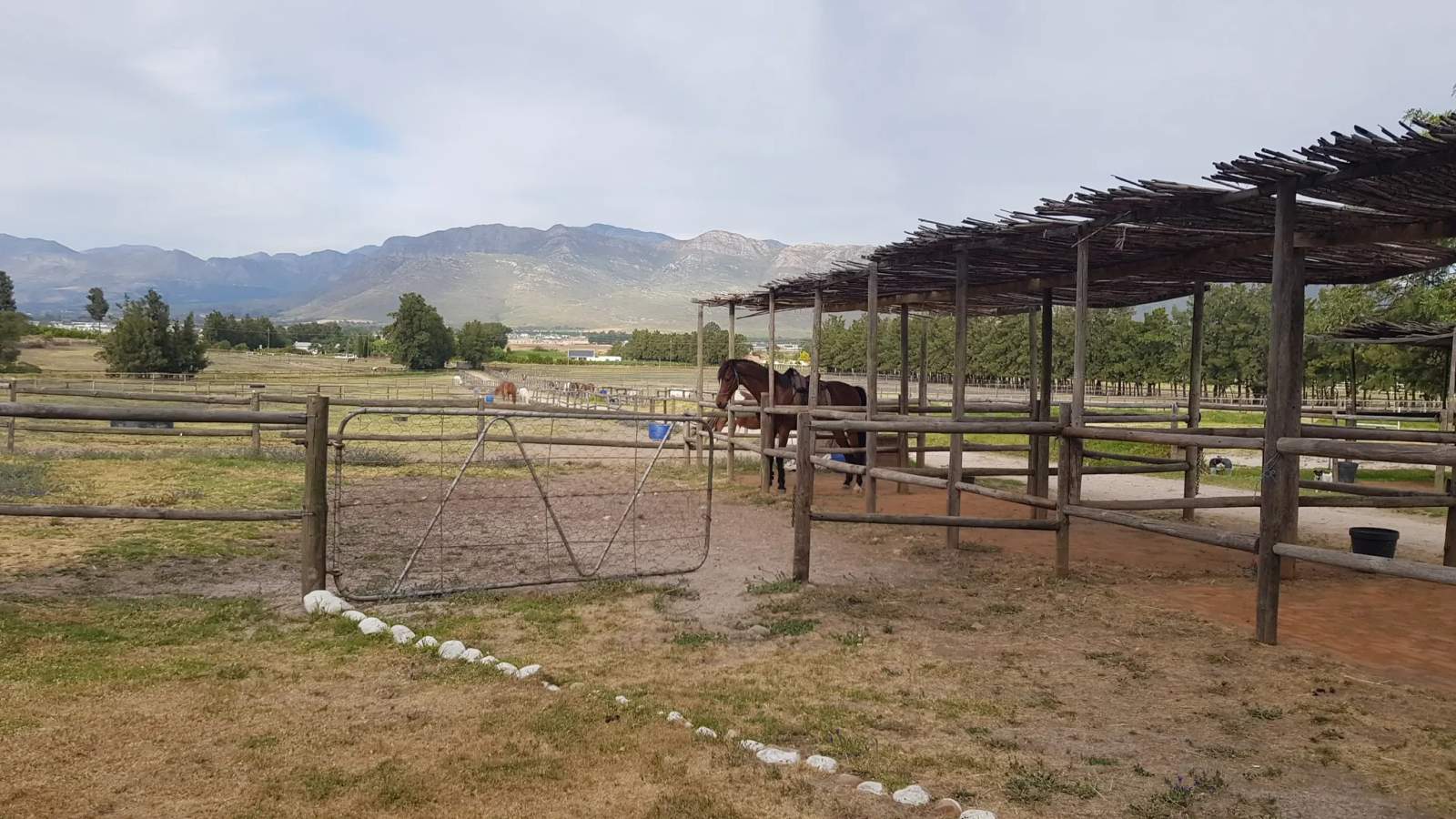 Cape Winelands Riding — photo 5