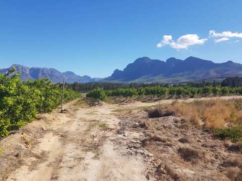 Cape Winelands Riding — photo 4