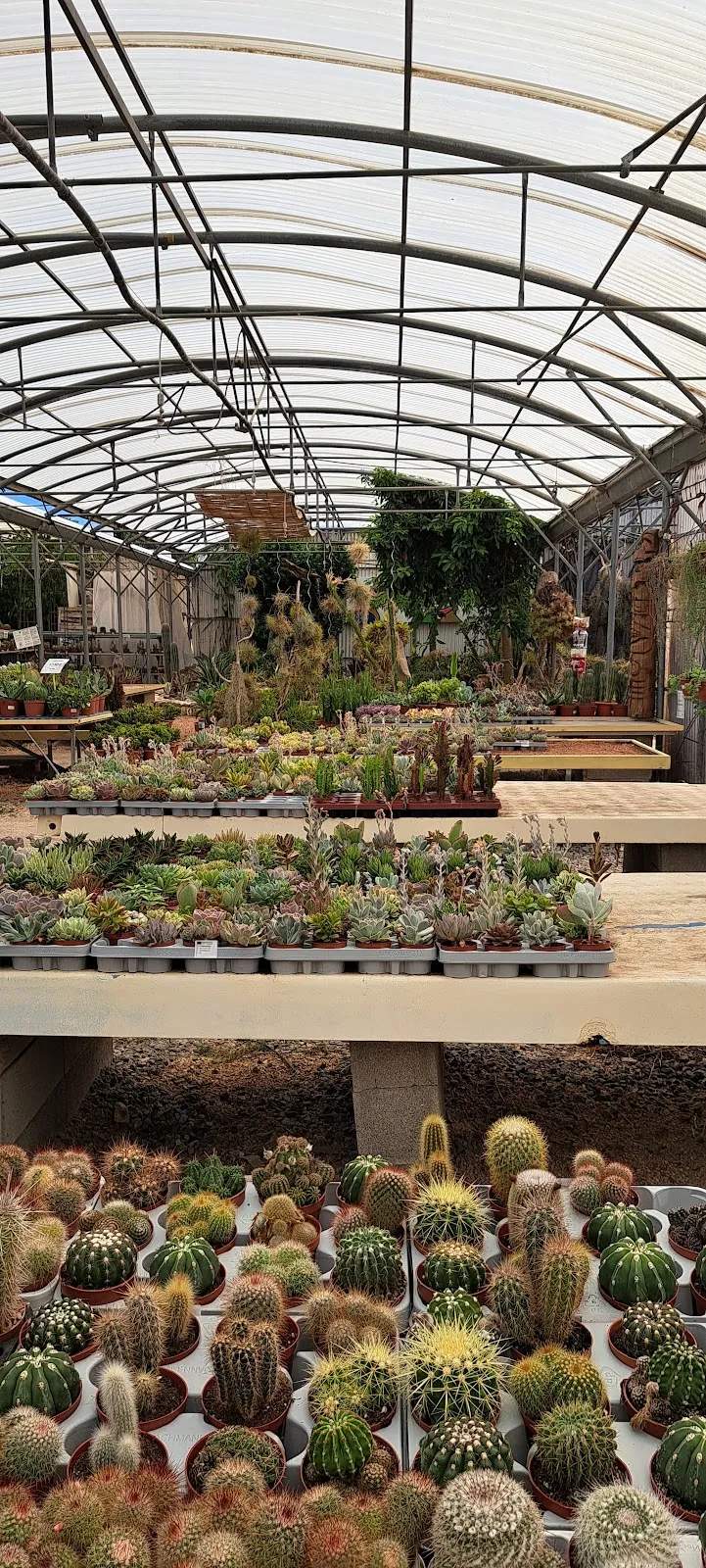 THE TEMPLE OF CACTUS — photo 3