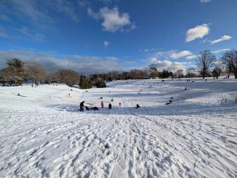 Vollrath Park — photo 3