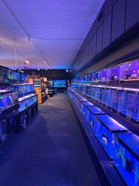 Aquatics Unlimited — photo 2