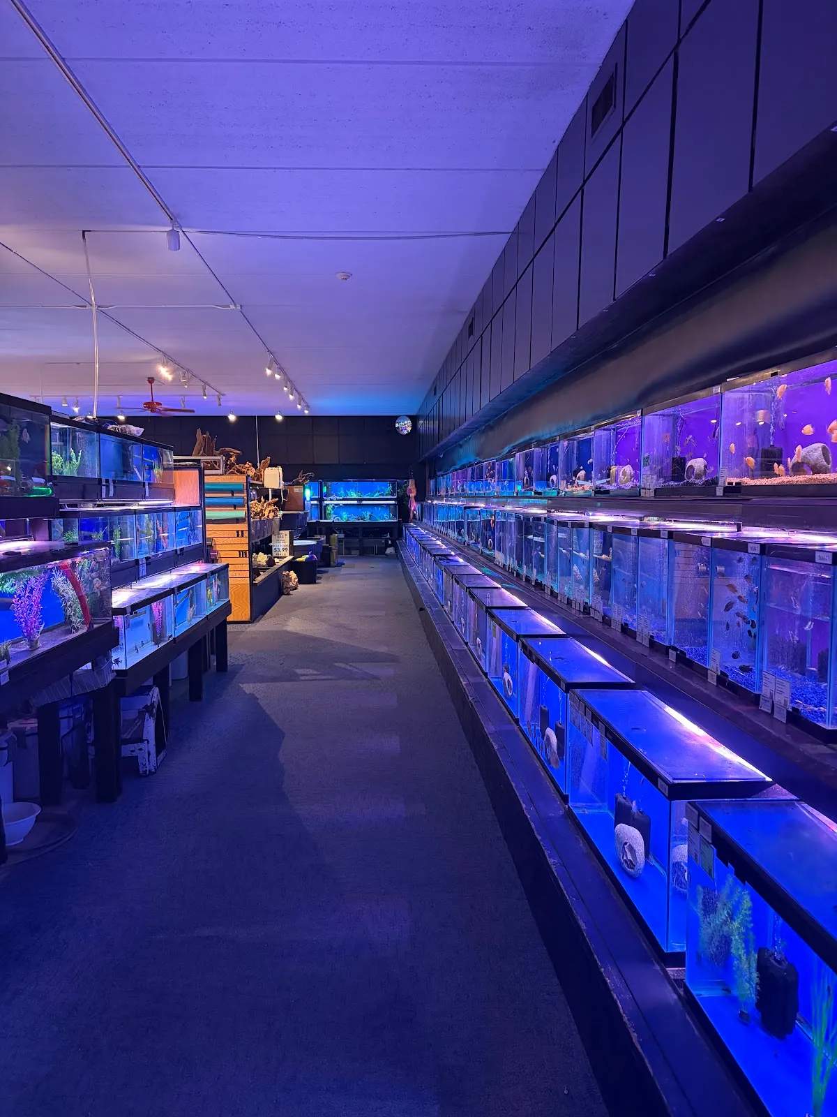Aquatics Unlimited — photo 2