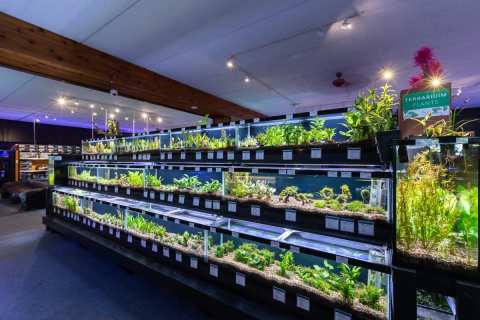 Aquatics Unlimited — photo 3
