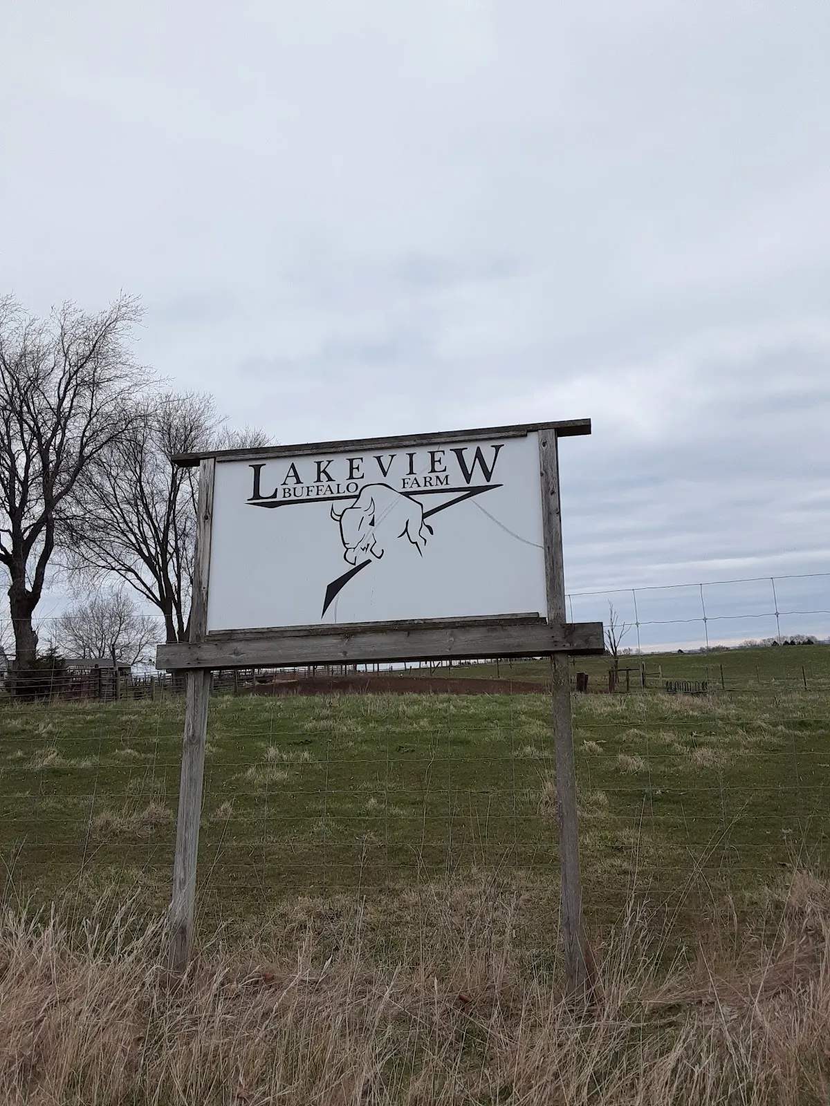 Lakeview Buffalo Farm — photo 2