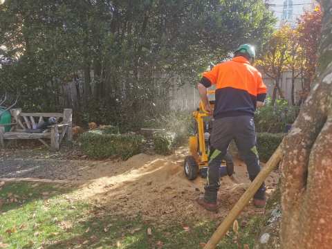 Reid's Trees Ltd — photo 3