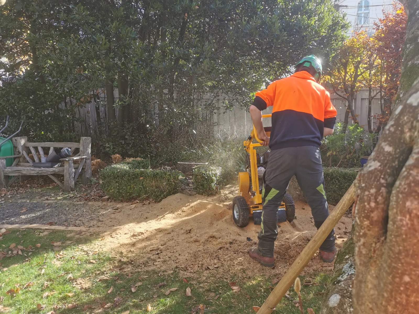 Reid's Trees Ltd — photo 3