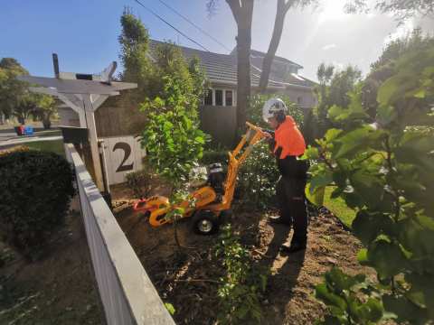 Reid's Trees Ltd — photo 2