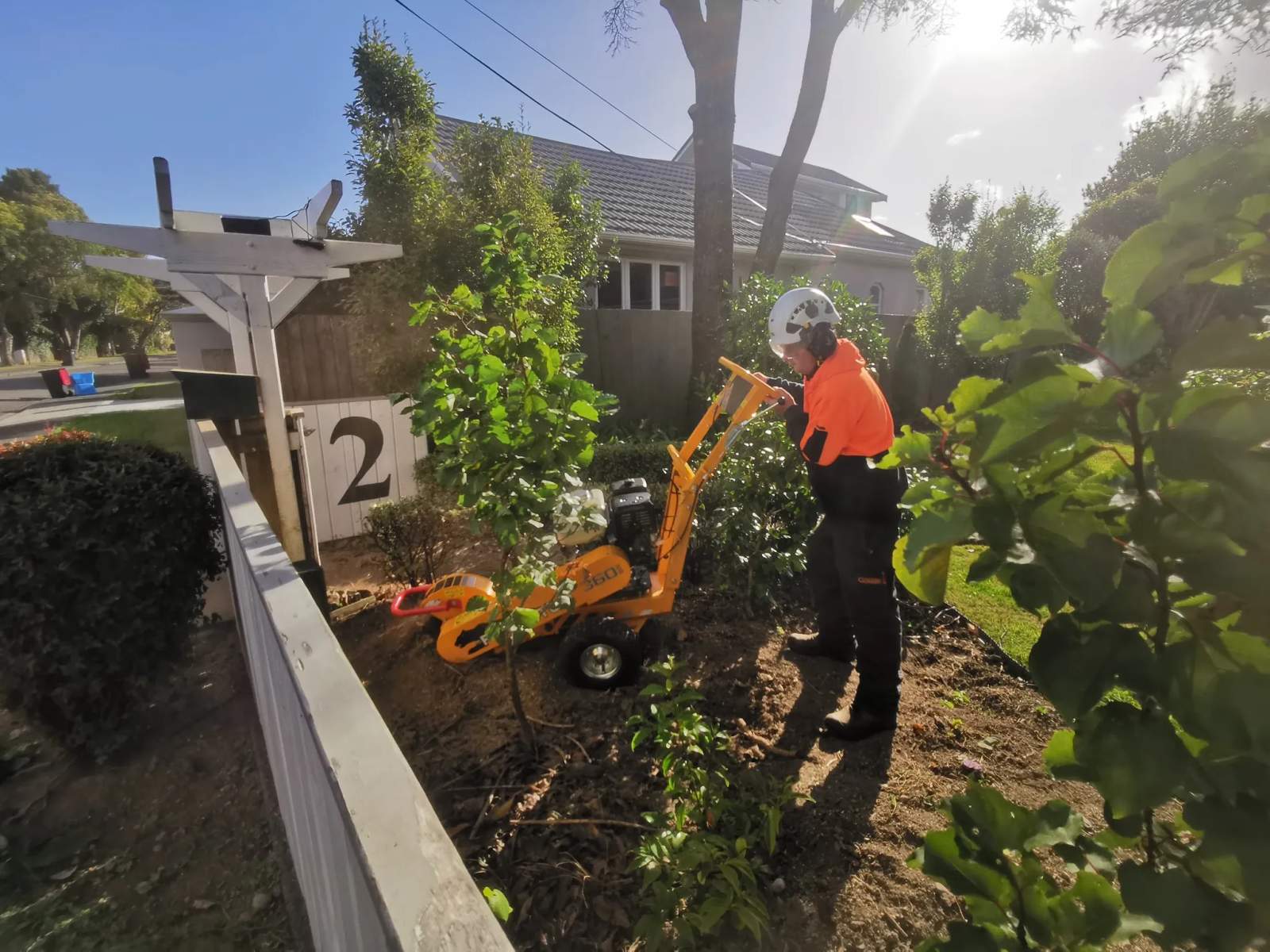 Reid's Trees Ltd — photo 2