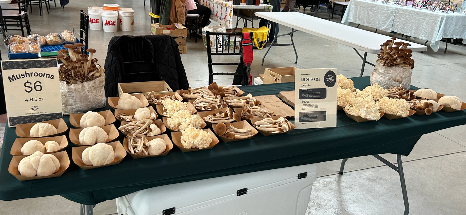 Mushrooms of Oz — photo 1
