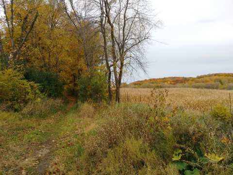 Ice Age Trail slinger segment — photo 2