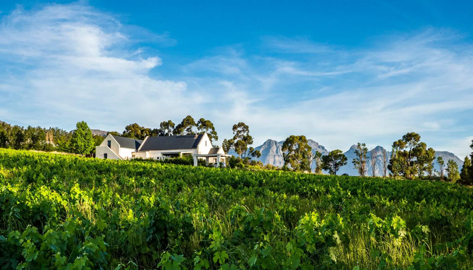 Diemersfontein Wine & Country Estate — photo 3