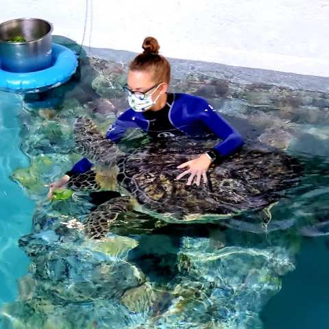 Clearwater Marine Aquarium — photo 3