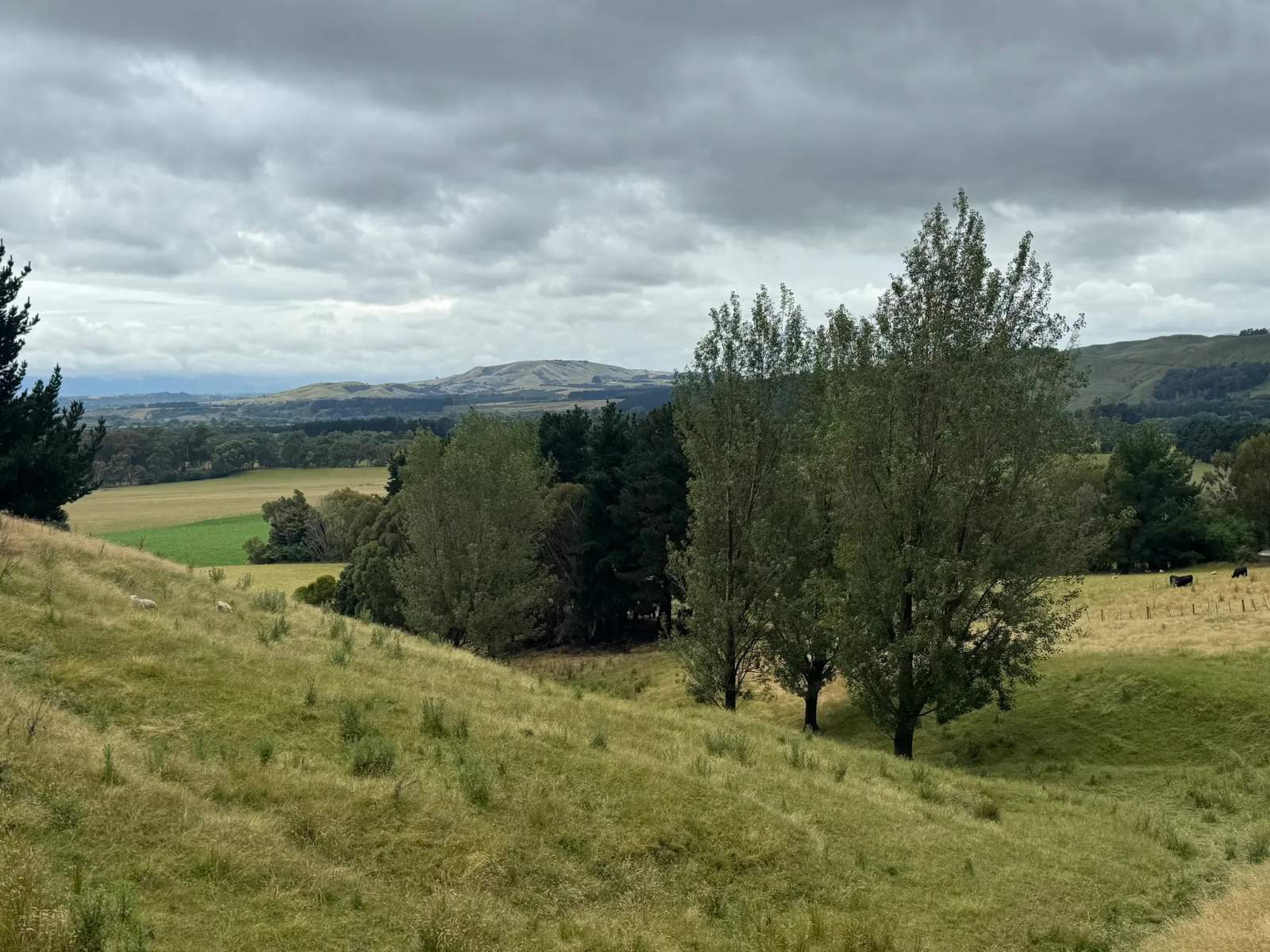 Rapaki Hillside Walk (Start) — photo 1