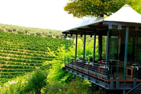 Tokara Wine Estate — photo 3