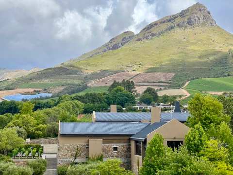 Tokara Wine Estate — photo 2