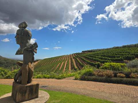 Tokara Wine Estate — photo 5