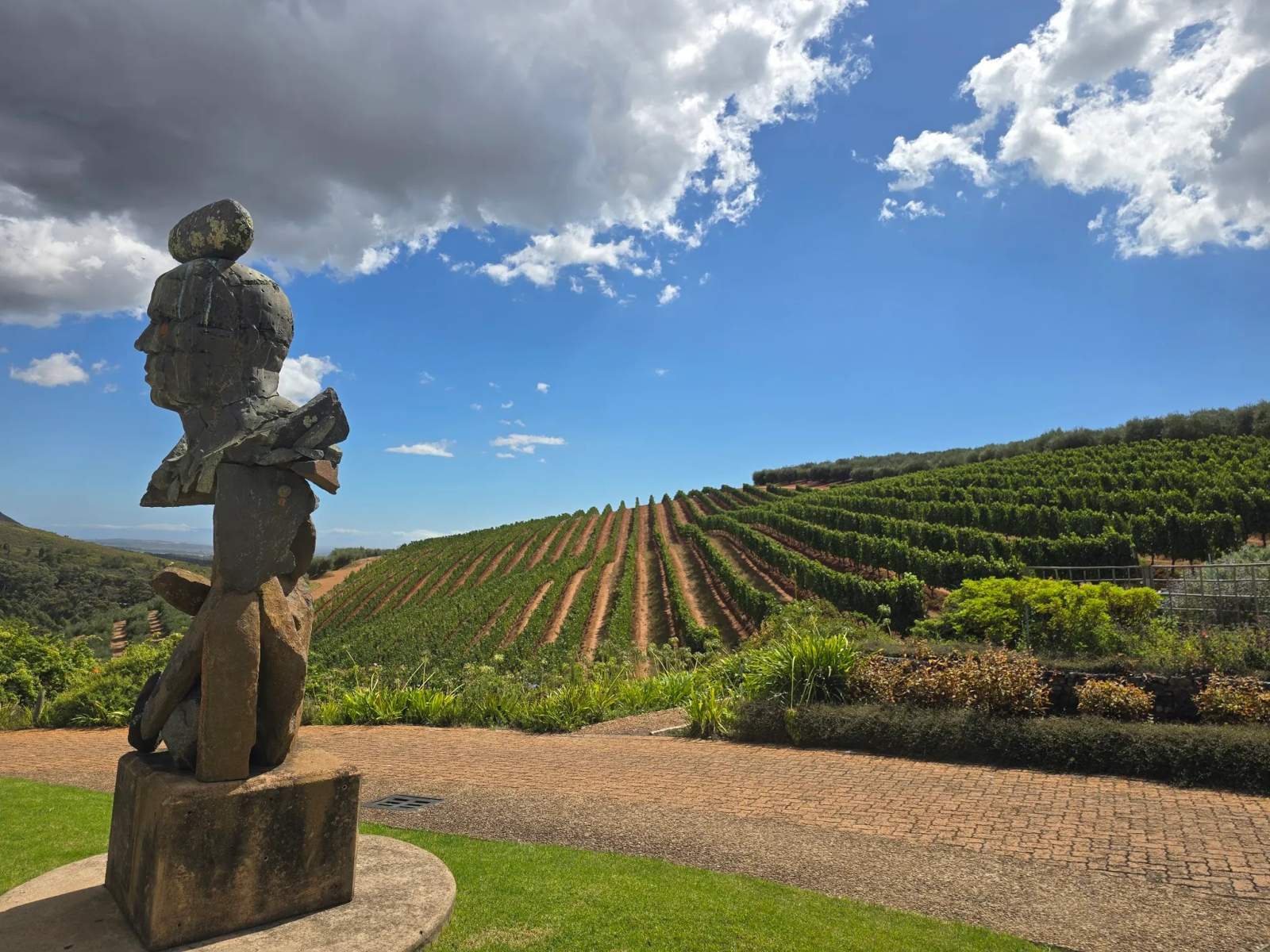 Tokara Wine Estate — photo 5
