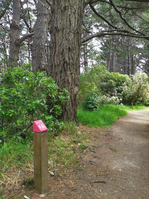 Mt Victoria Reserve Walking Paths — photo 3