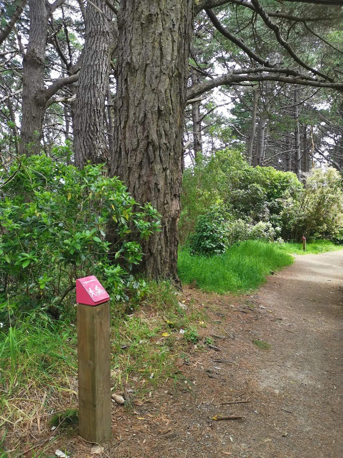 Mt Victoria Reserve Walking Paths — photo 3