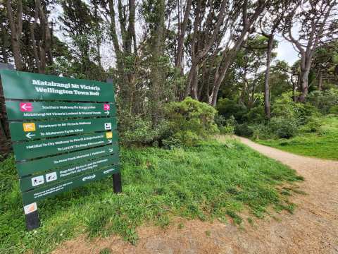 Mt Victoria Reserve Walking Paths — photo 2