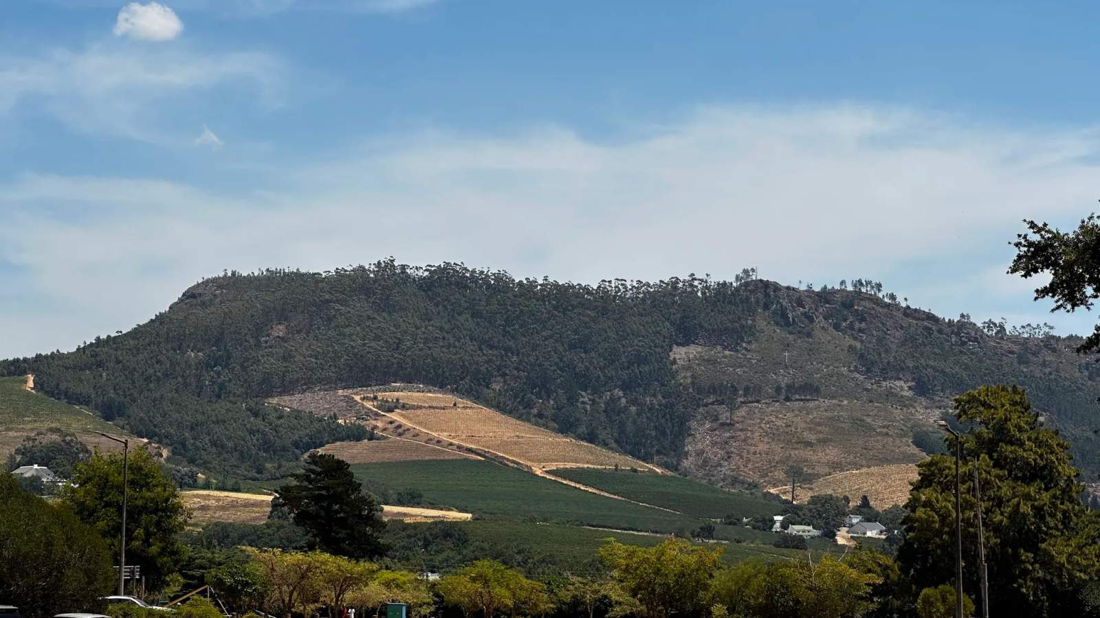 Cape Town Wine Tasting Tour — photo 1