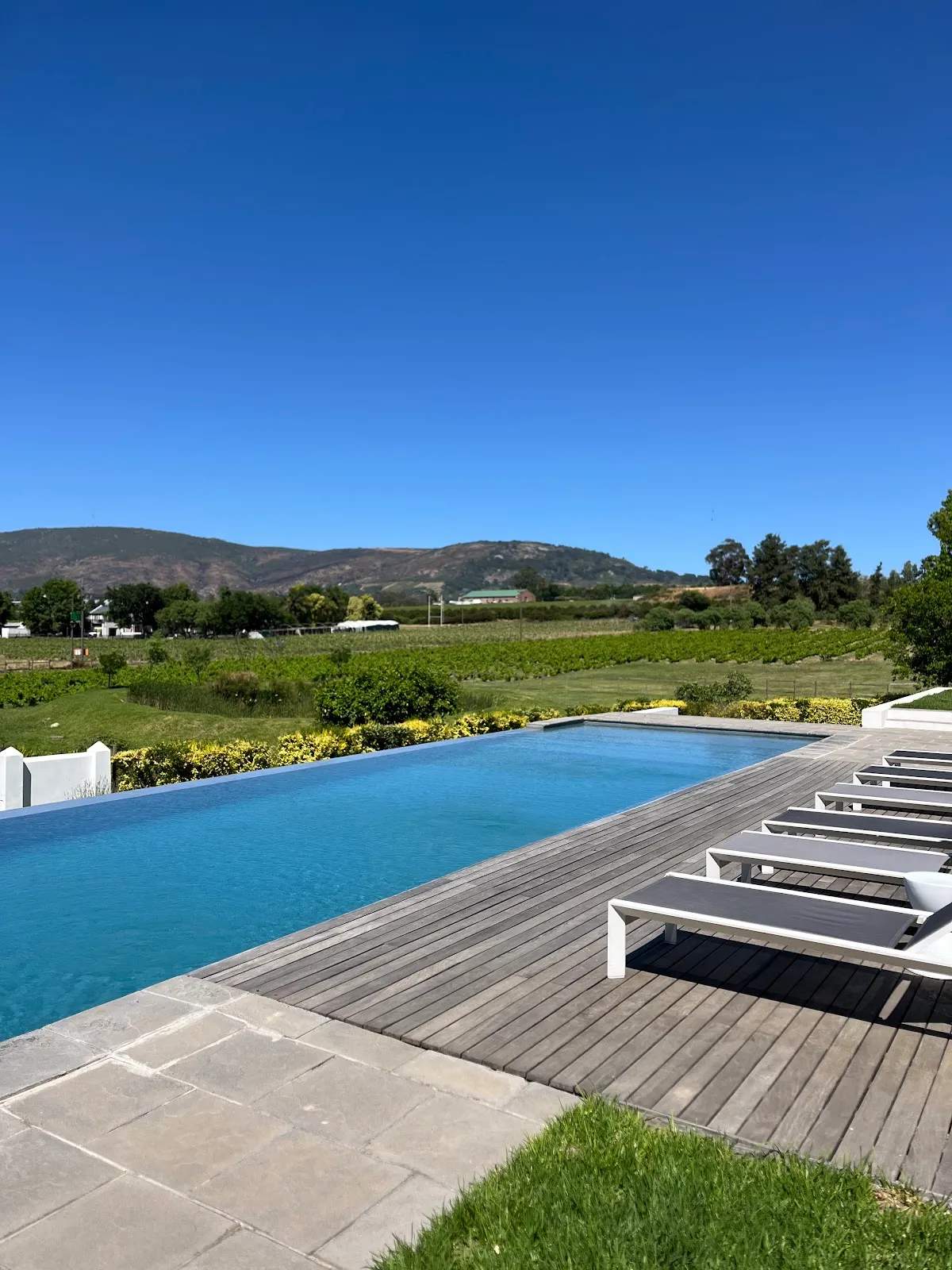 Tempel Wines — photo 2