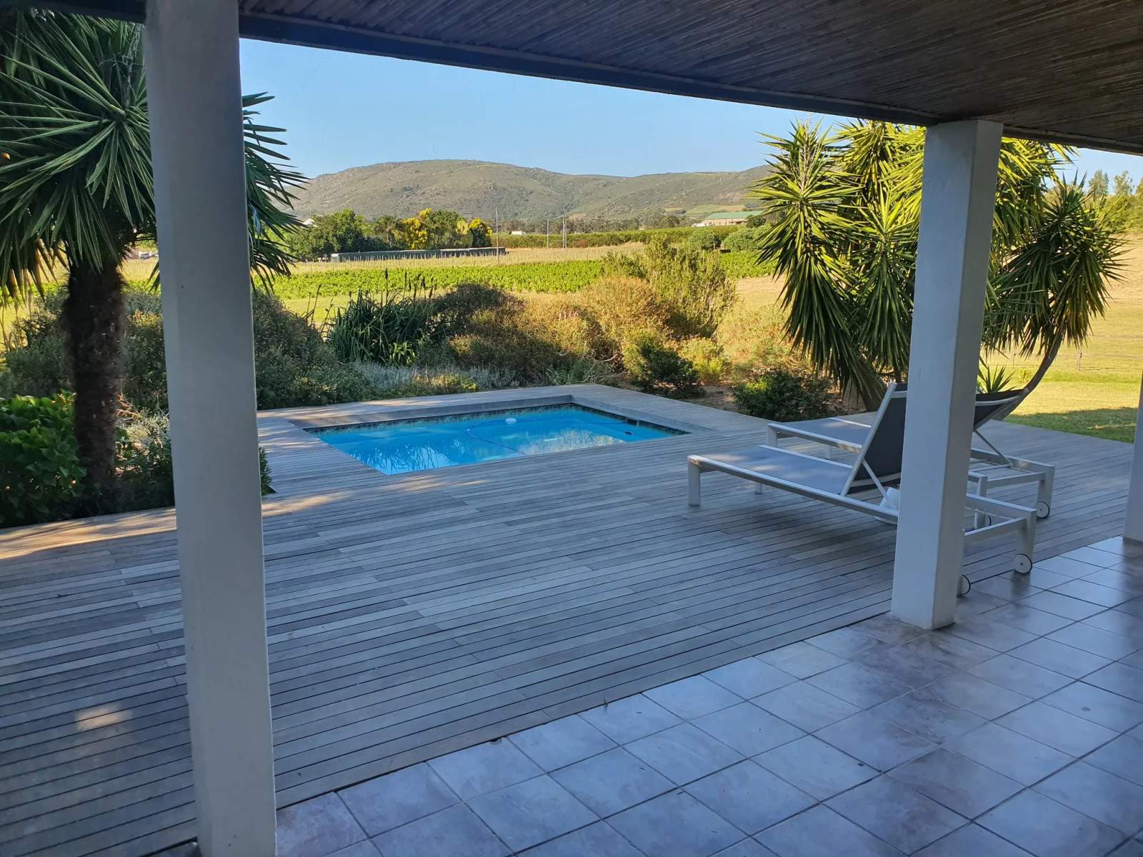 Tempel Wines — photo 3