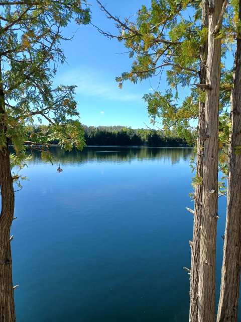 Quarry Lake Trail — photo 3