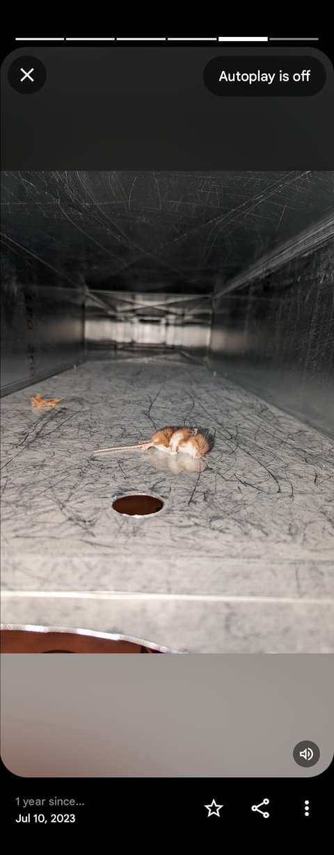 Wisconsin Natural Air Duct Cleaning Cedarburg — photo 4