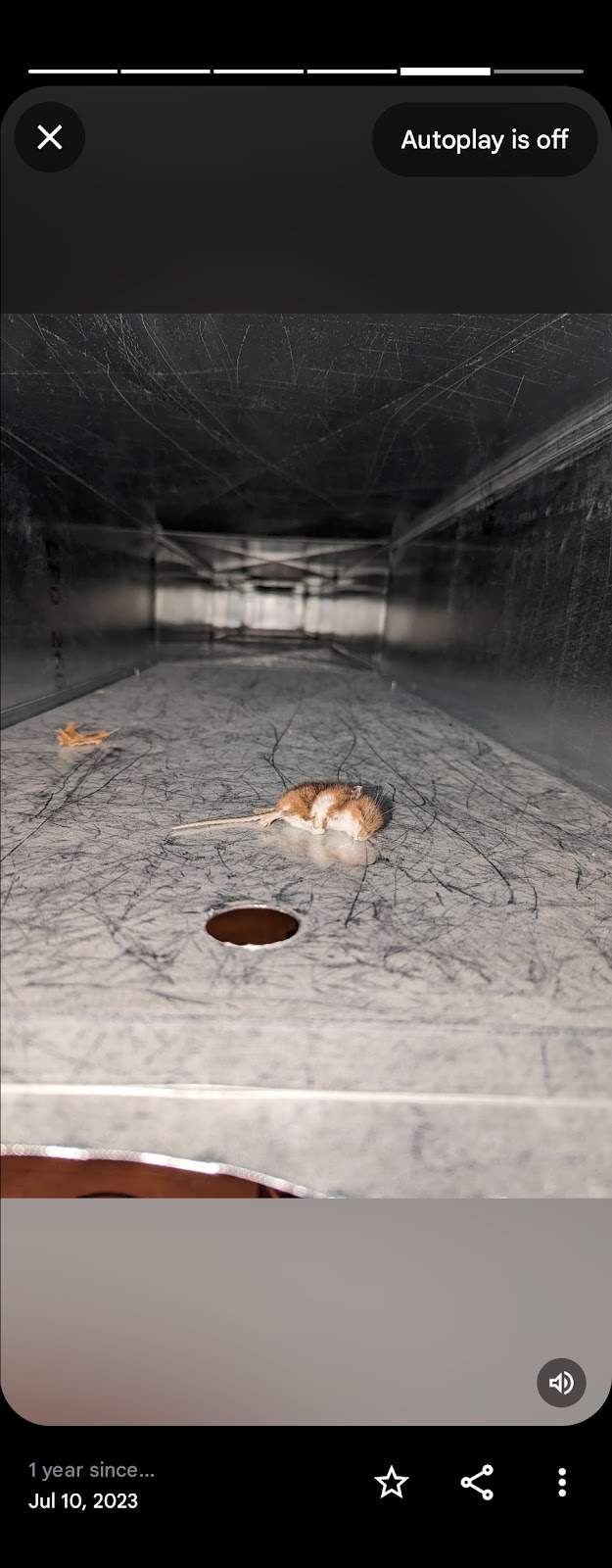 Wisconsin Natural Air Duct Cleaning Cedarburg — photo 4